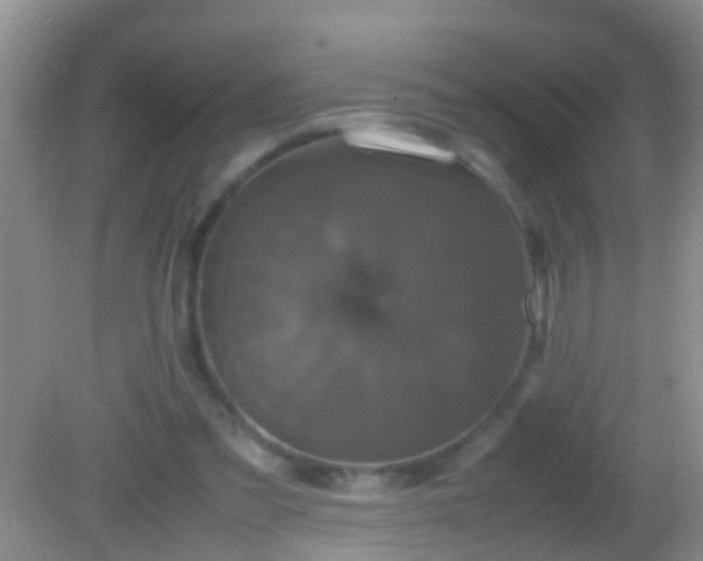 X0000082200301200701270125