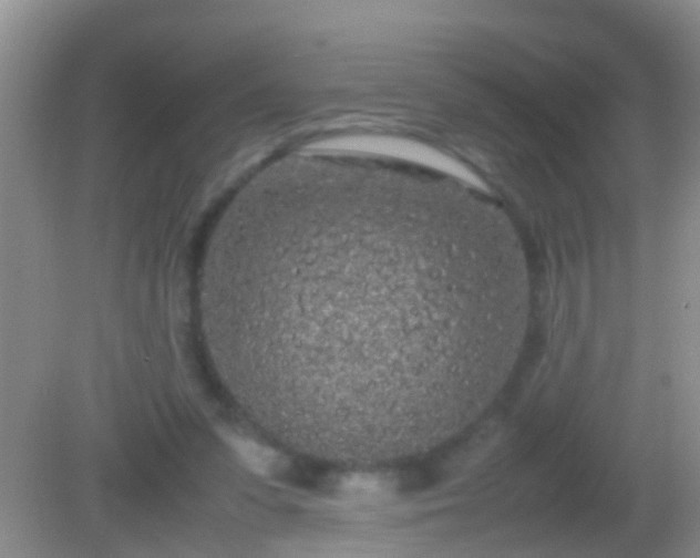 X0000082200303200701270125