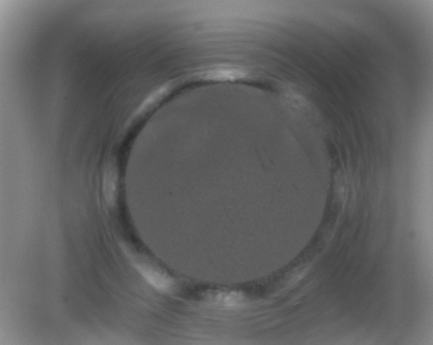 X0000082200304200701270125