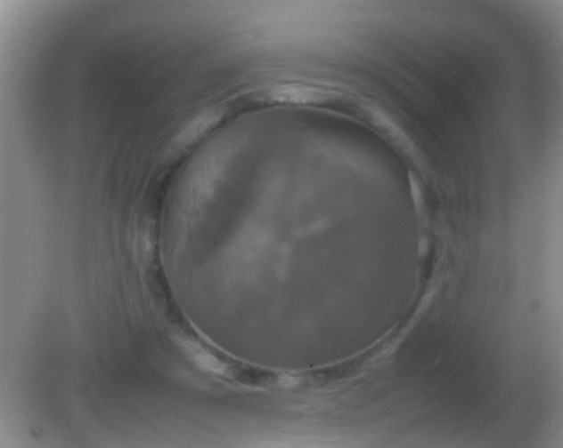 X0000082200305200701270125