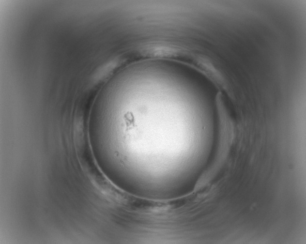 X0000082200306200701270125