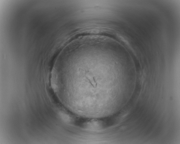 X0000082200307200701270125