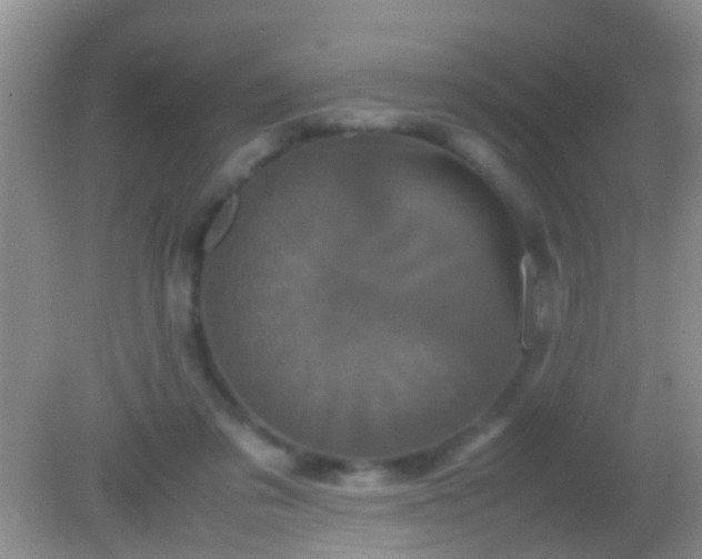 X0000082200309200701270125