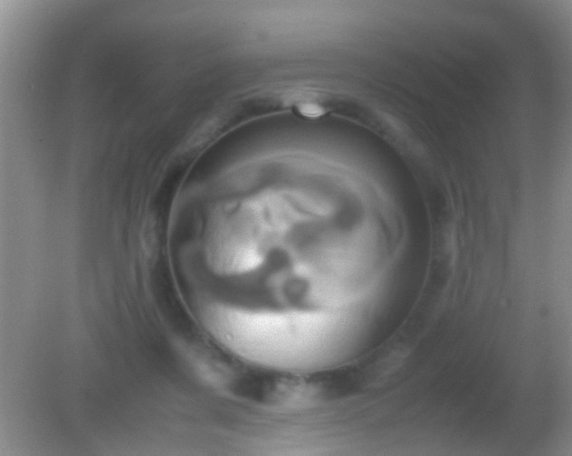 X0000082200311200701270125