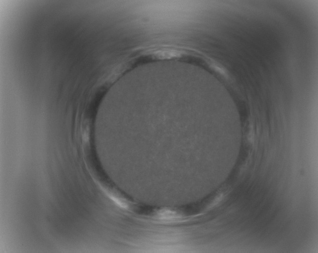 X0000082200315200701270125