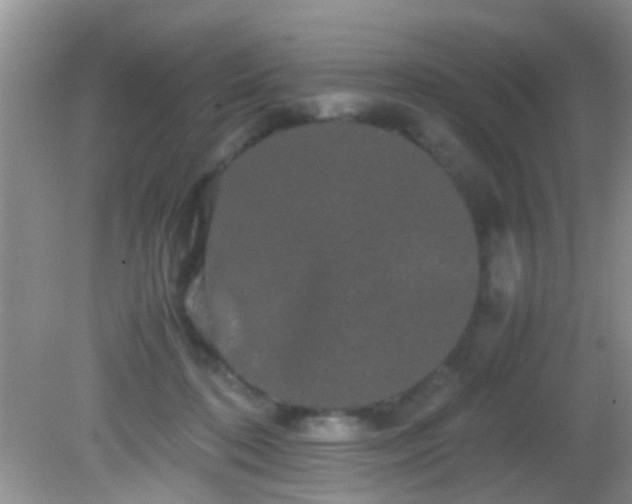 X0000082200316200701270125