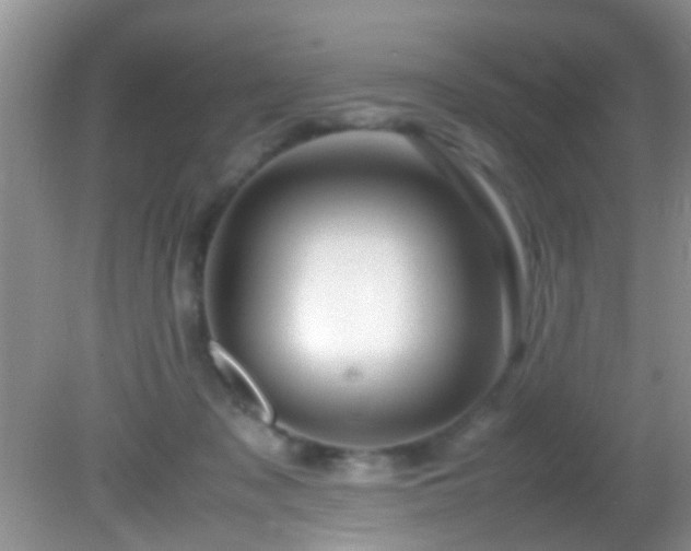 X0000082200317200701270125