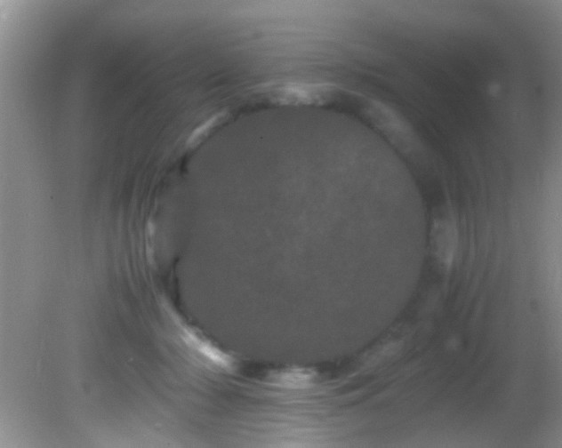 X0000082200318200701270125