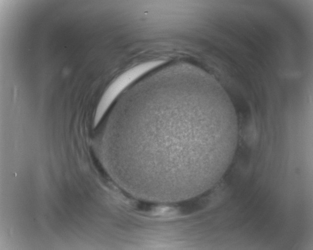 X0000082200319200701270125