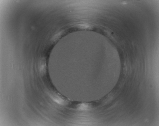 X0000082200320200701270125