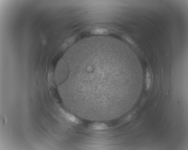 X0000082200322200701270125