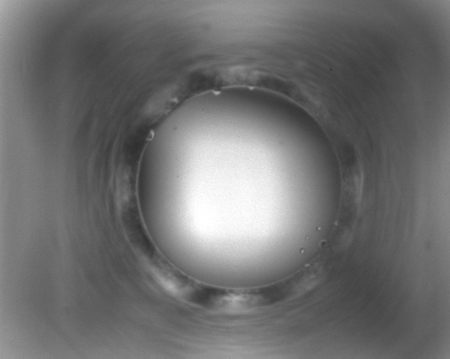 X0000082200323200701270125