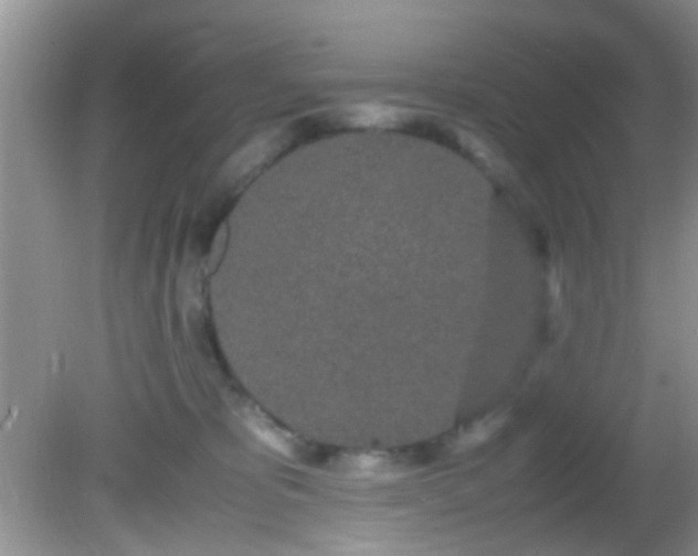 X0000082200325200701270125