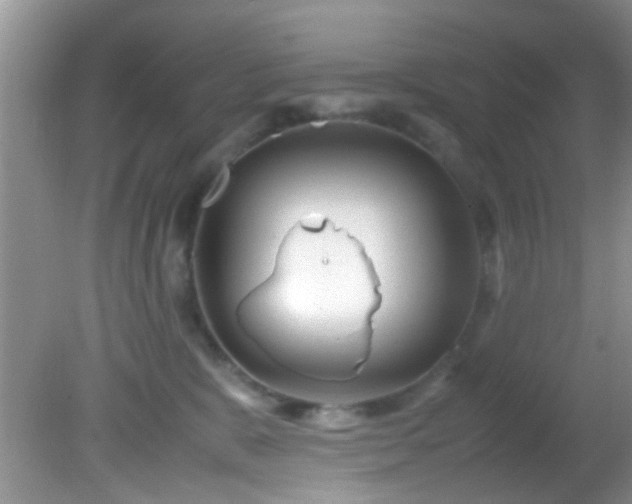 X0000082200327200701270125