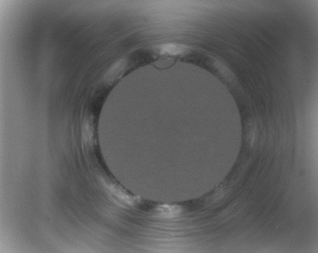 X0000082200328200701270125