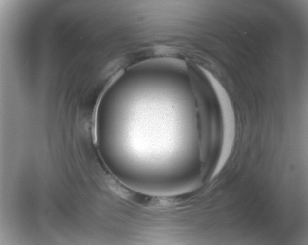 X0000082200329200701270125