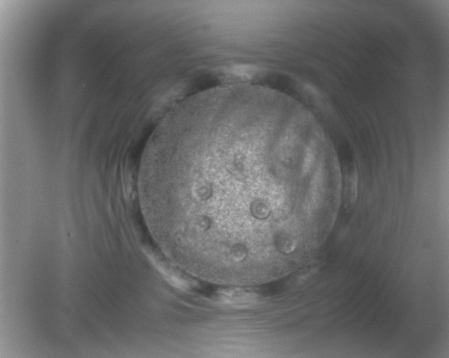 X0000082200331200701270125