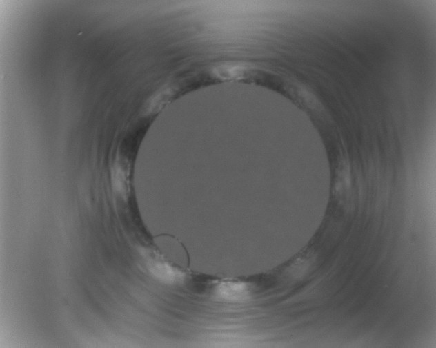 X0000082200332200701270124