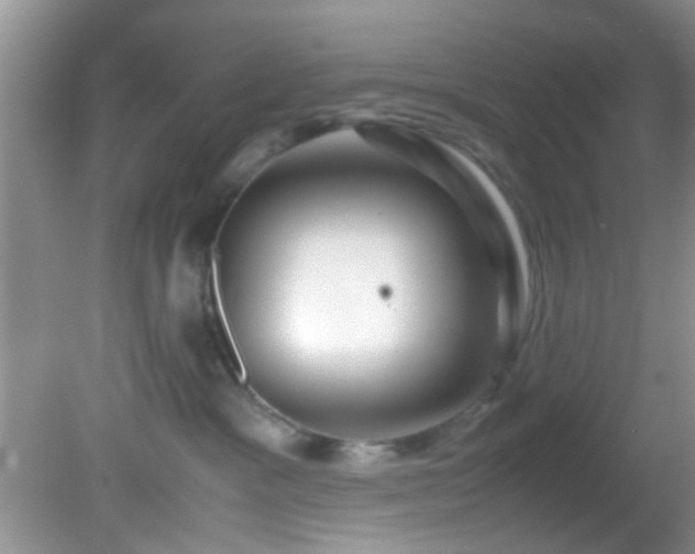 X0000082200333200701270124