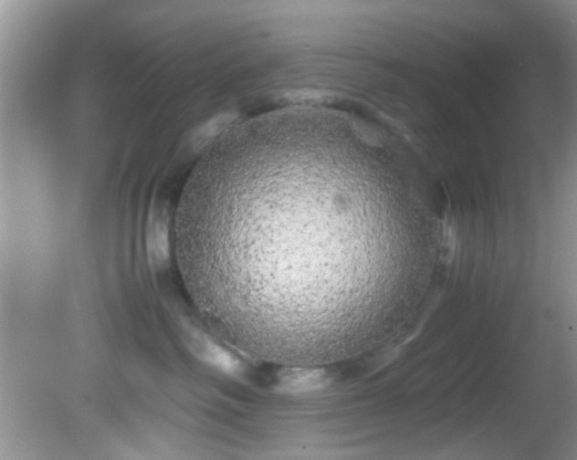 X0000082200334200701270124