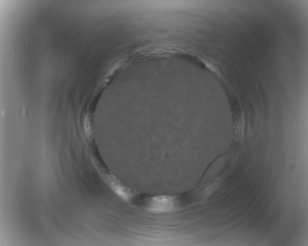 X0000082200335200701270124