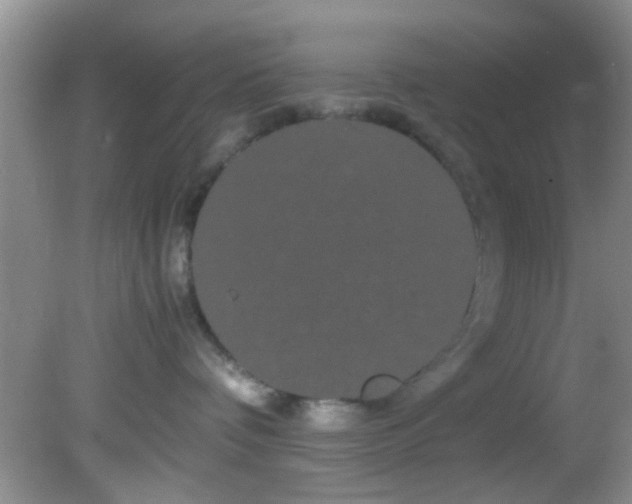 X0000082200336200701270124