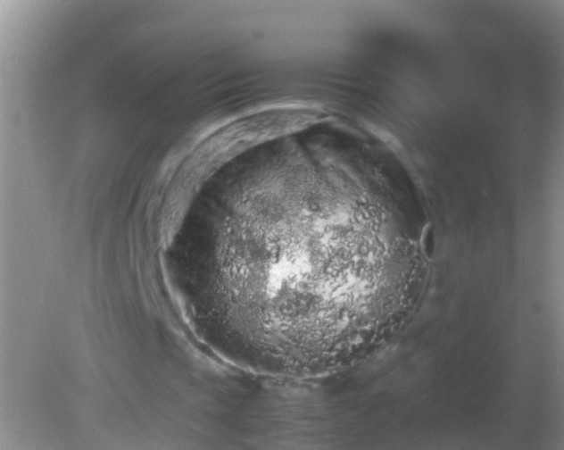 X0000082200337200701270124