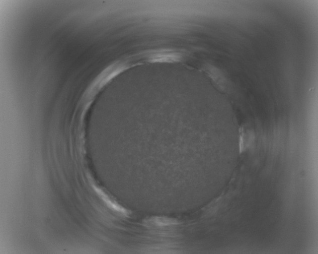 X0000082200339200701270124