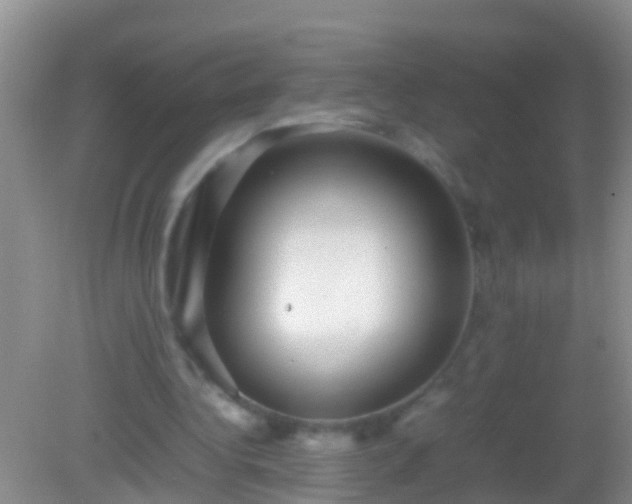 X0000082200340200701270124