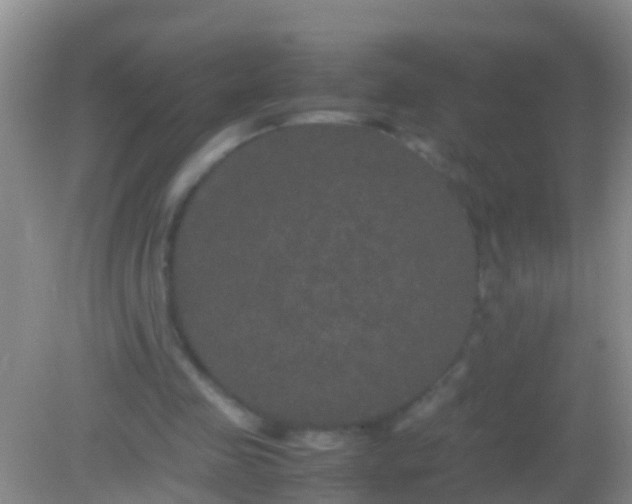 X0000082200341200701270124