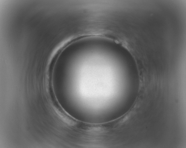 X0000082200342200701270124