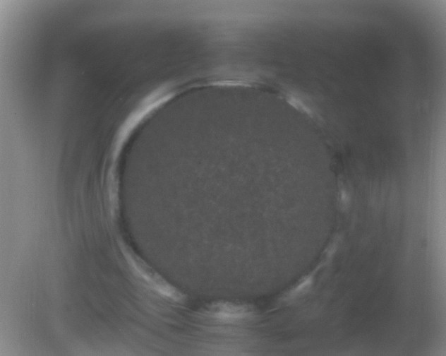 X0000082200343200701270124