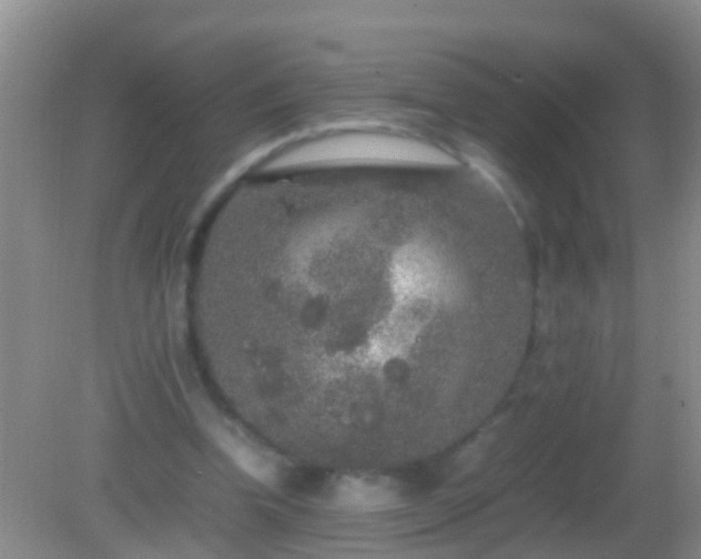 X0000082200346200701270124