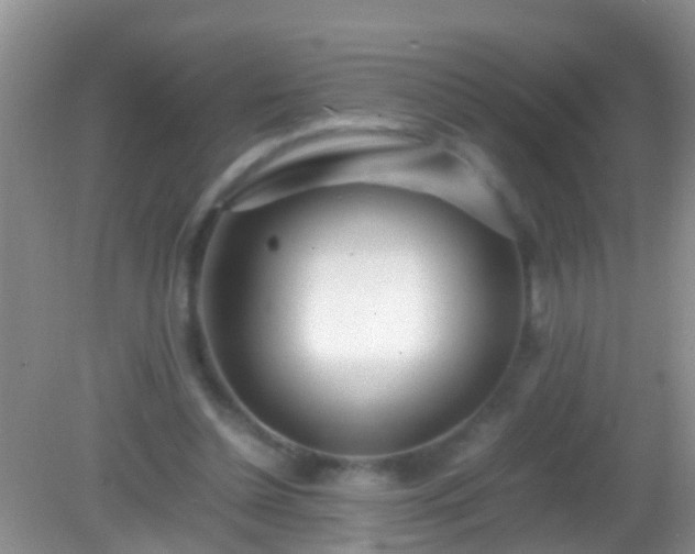 X0000082200348200701270124