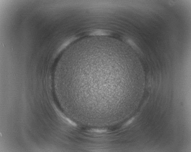 X0000082200351200701270124