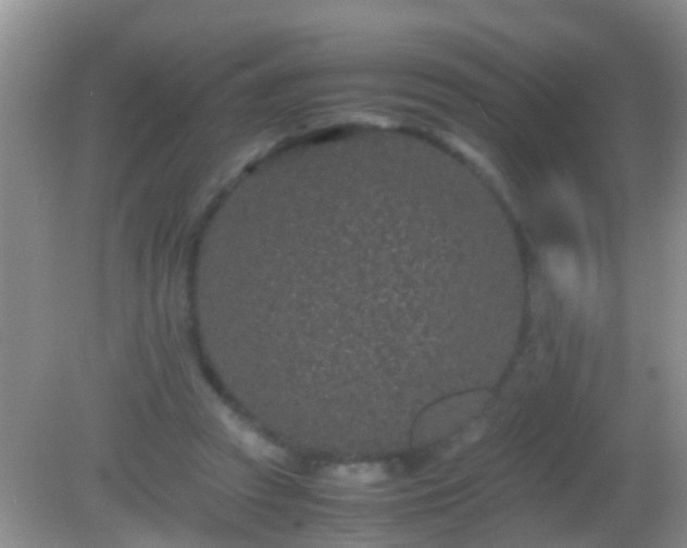 X0000082200353200701270124