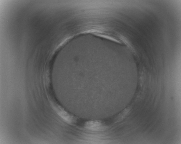 X0000082200354200701270124