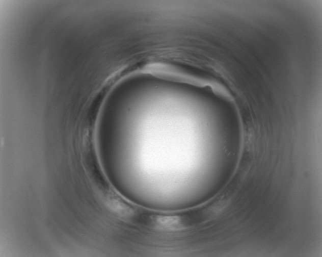 X0000082200355200701270124