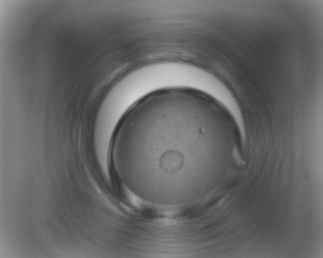 X0000082200356200701270124