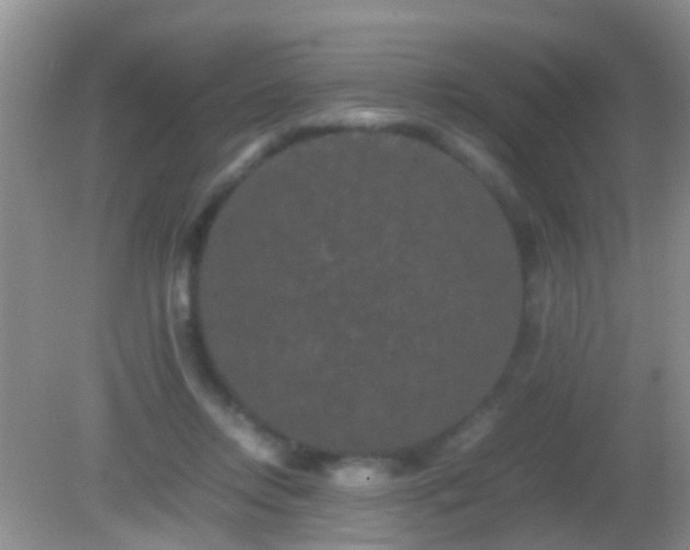 X0000082200358200701270124