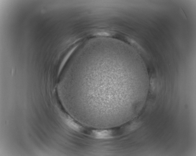 X0000082200359200701270124