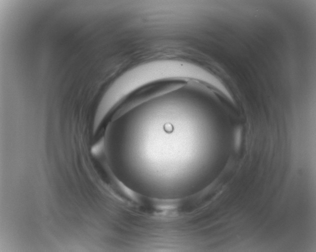 X0000082200362200701270124