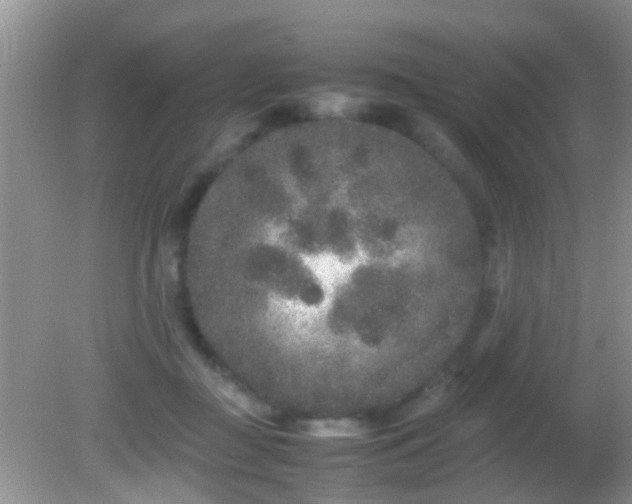 X0000082200363200701270124