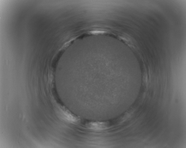 X0000082200367200701270124