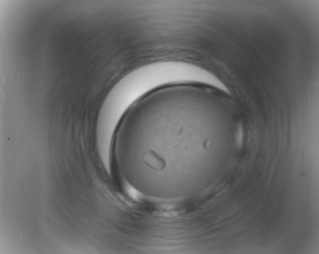 X0000082200368200701270124