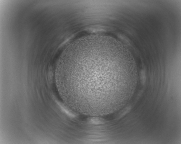 X0000082200372200701270124