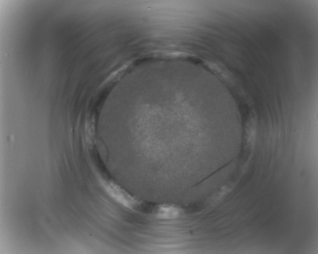 X0000082200376200701270124