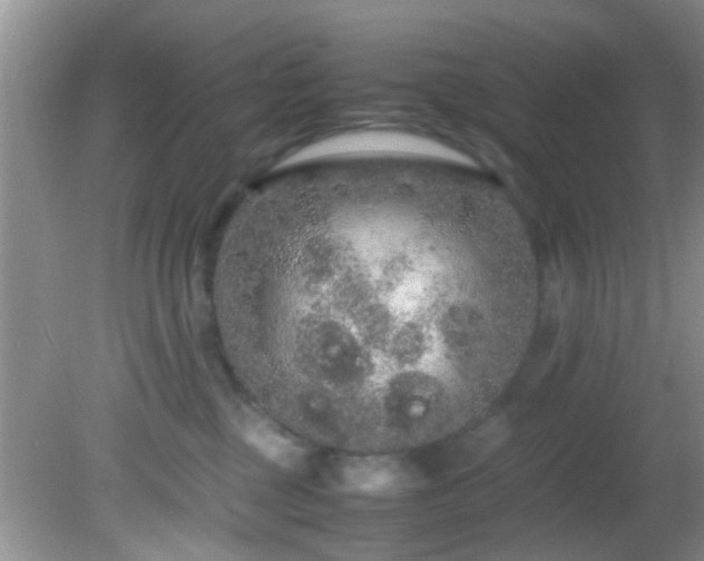 X0000082200377200701270124