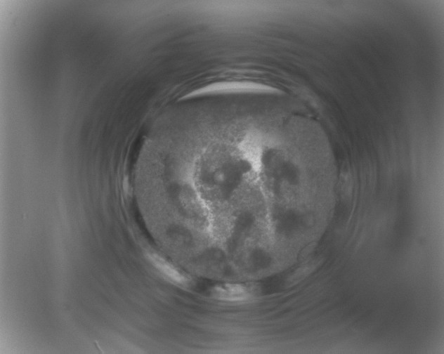 X0000082200381200701270124