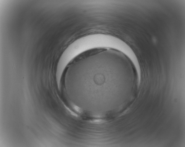 X0000082200382200701270124